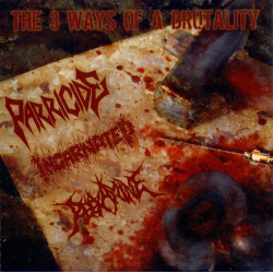 PARRICIDE / INCARNATED / REEXAMINE The 3 Ways Of A Brutality
