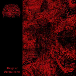 DISGUSTED GEIST Reign Of Enthrallment