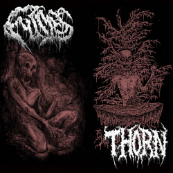 FUMES / THORN Fumes - Thorn