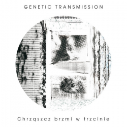 GENETIC TRANSMISSION Chrząszcz Brzmi W Trzcinie